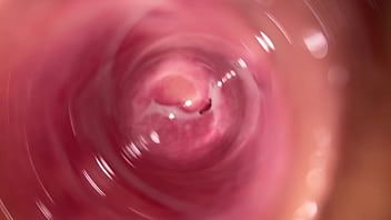 Play Camera deep inside Mia's tiny pussy